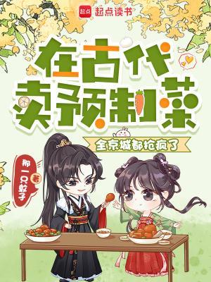 在古代賣預(yù)制菜封面