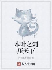 木葉之劍壓天下